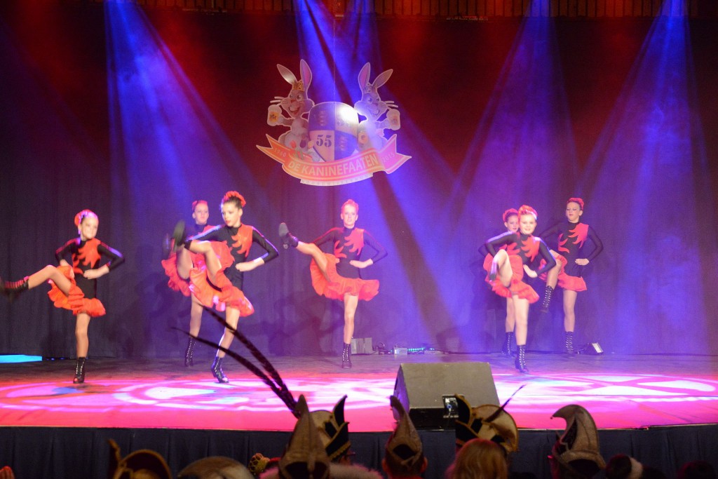 ../Images/Dansmarieke festival 2015 111.jpg